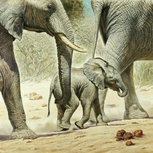 Kunstdruk Renato Casaro - Go Baby Go 100x70cm