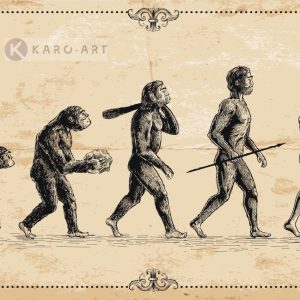 Schilderij - Concept van de evolutie