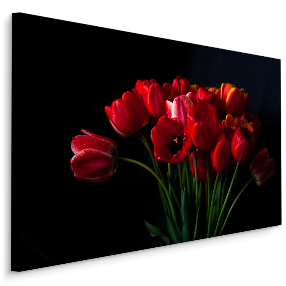 Schilderij - Rode tulpen zwarte achtergrond, premium print 1 Schilderij - Rode tulpen zwarte achtergrond, premium print