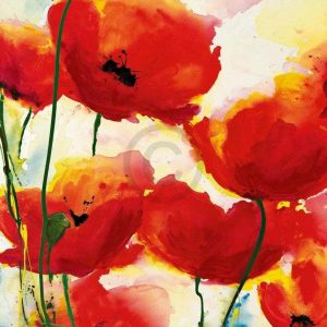 Kunstdruk Heidi Reil - Roter Mohn 70x90cm