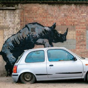 Kunstdruk Banksy - Nashorn 70x50cm