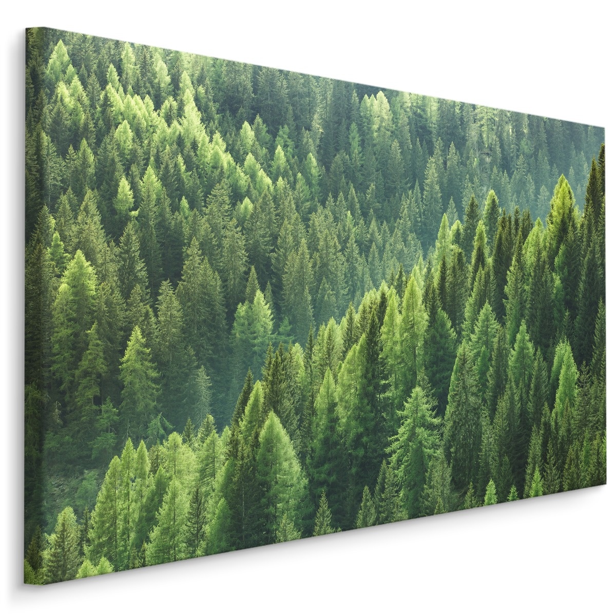 Schilderij - Groen bos, 4 maten, wanddecoratie 1 Schilderij - Groen bos, 4 maten, wanddecoratie