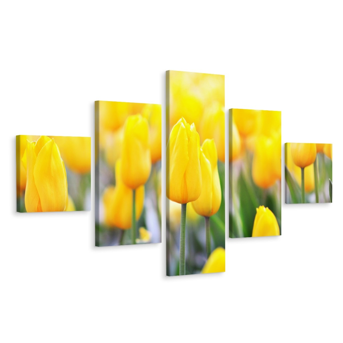 Schilderij - Gele tulpen veld, 5luik, premium print 1 Schilderij - Gele tulpen veld, 5luik, premium print