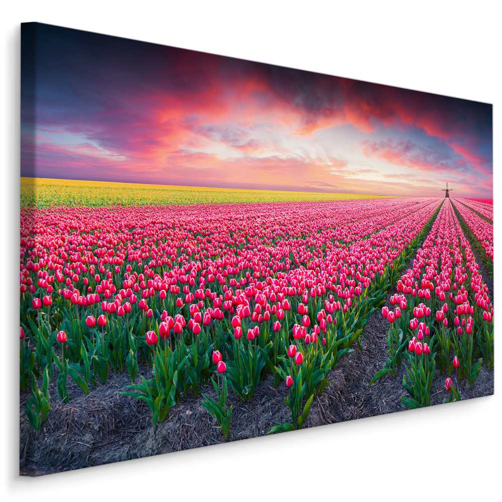 Schilderij - Bloeiend tulpen veld, premium print 1 Schilderij - Bloeiend tulpen veld, premium print