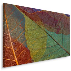 Top 30 meest verkochte schilderijen, populaire kunst 23 Schilderij - Kleurrijke bladeren in herfstkleuren, premium print