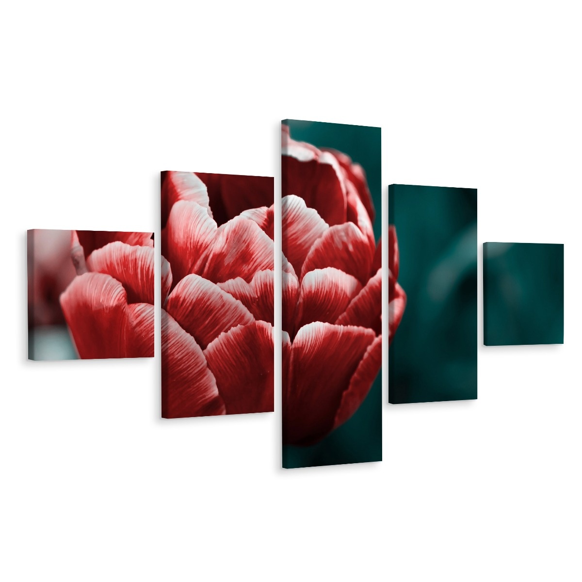 Schilderij - Tulp in bloei, 5luik, premium print 1 Schilderij - Tulp in bloei, 5luik, premium print