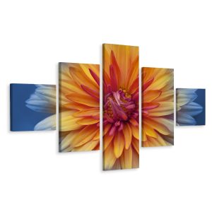 Schilderij - Chrysant close-up, 5luik, premium print