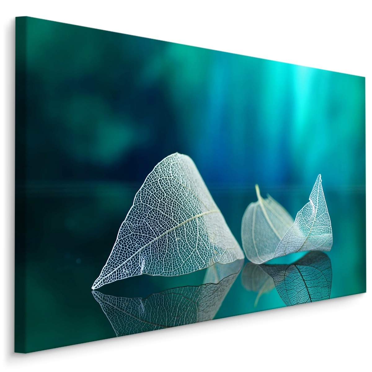 Schilderij - Skelet van een blad, premium print 1 Schilderij - Skelet van een blad, premium print
