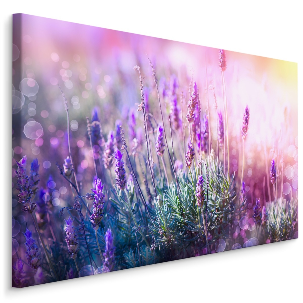 Schilderij - Bloeiende Lavendel, Paars, Premium Print 1 Schilderij - Bloeiende Lavendel, Paars, Premium Print