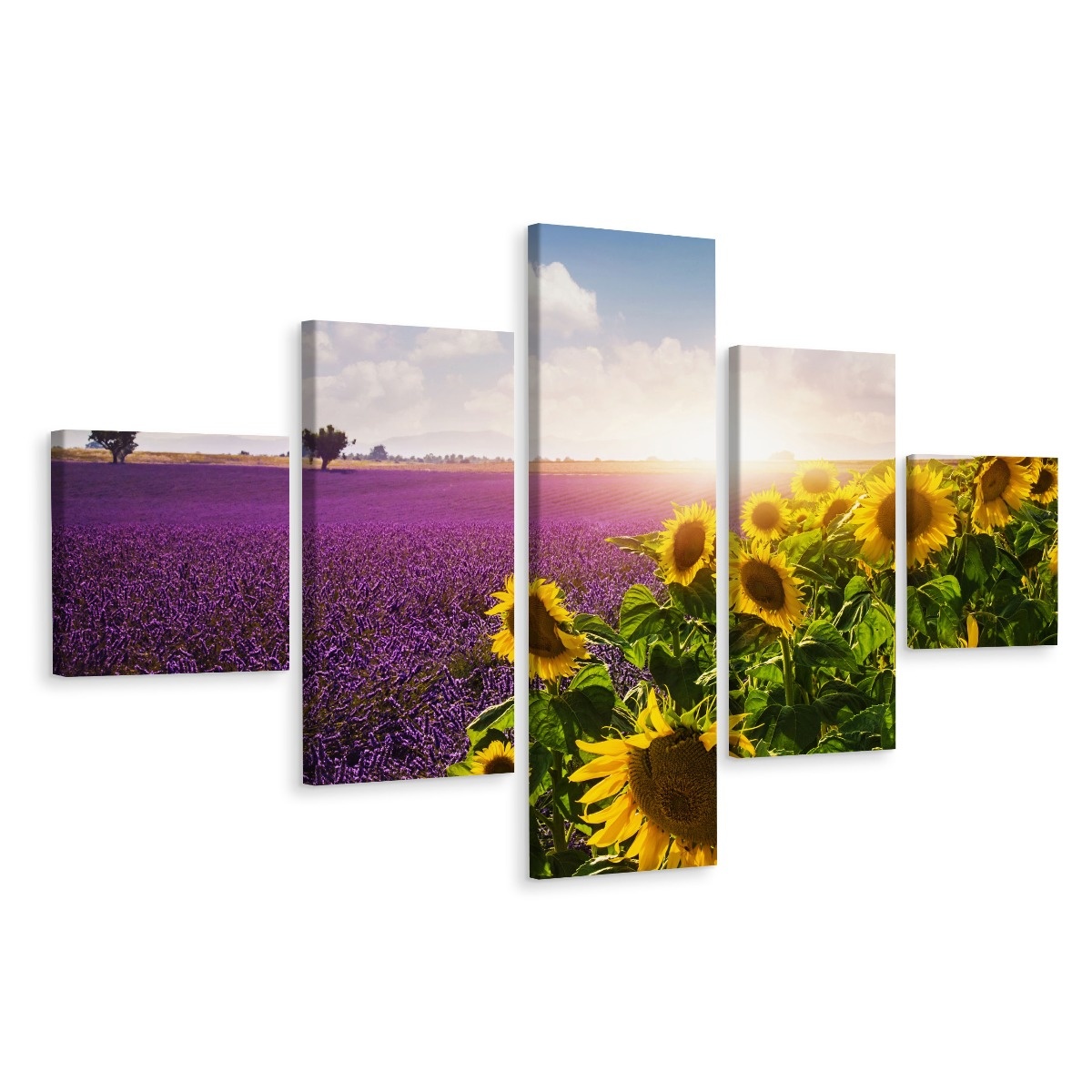 Schilderij - Lavendel en zonnebloem, 5luik, premium print 1 Schilderij - Lavendel en zonnebloem, 5luik, premium print