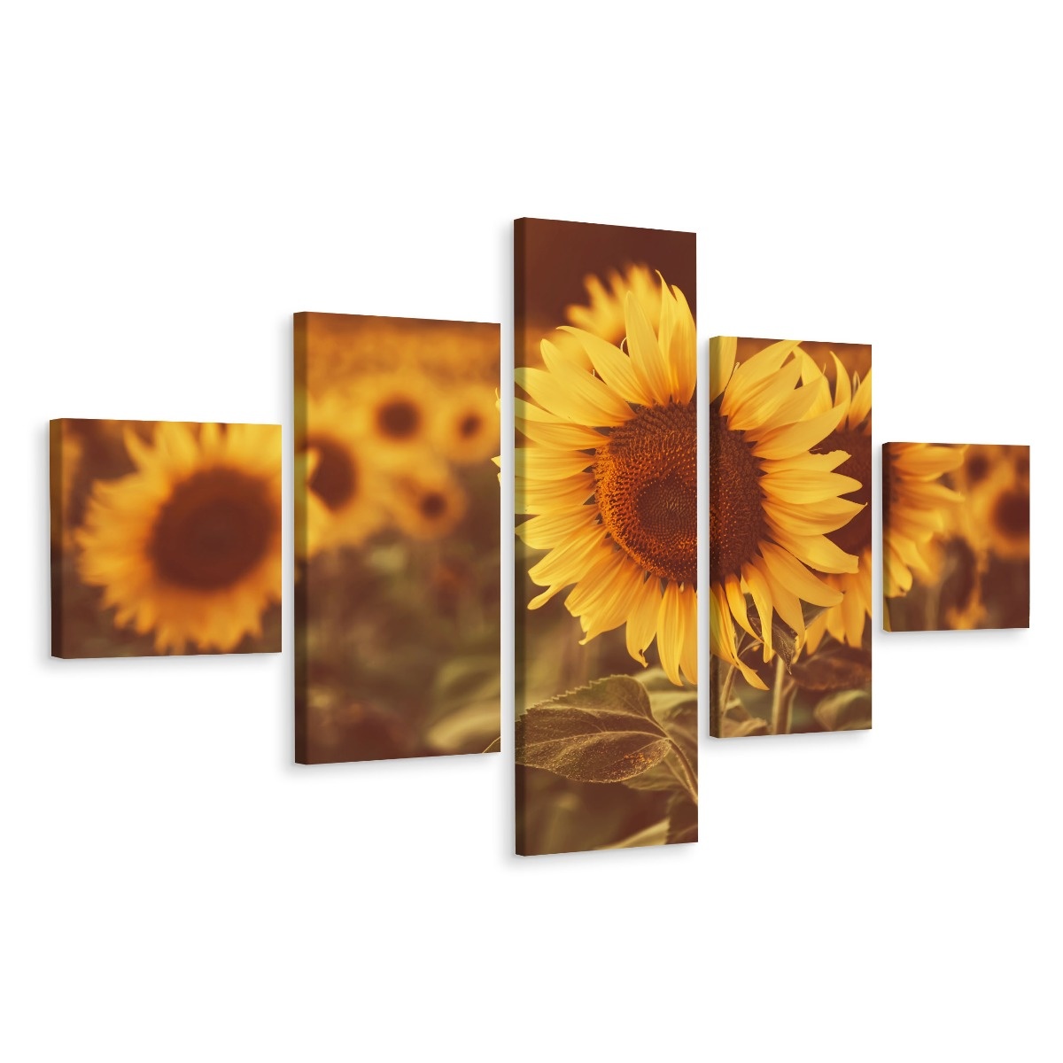 Schilderij - Zonnebloem close-up, 5luik, premium print 1 Schilderij - Zonnebloem close-up, 5luik, premium print