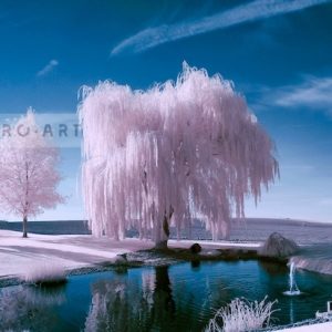Schilderij - Roze bomen, roze/blauw, 2 maten , print op canvas, premium print