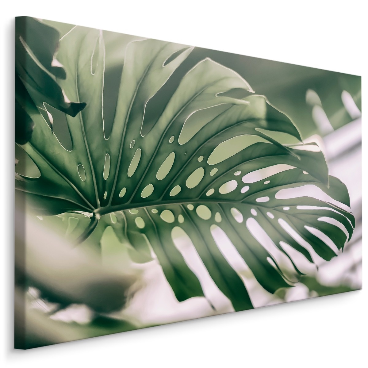 Schilderij - Close up Monstera Blad, Groen, Premium Print 1 Schilderij - Close up Monstera Blad, Groen, Premium Print