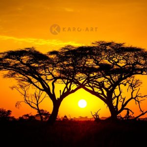 Afbeelding op acrylglas - Zonsondergang in Afrika