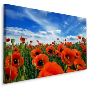 Top 30 meest verkochte schilderijen, populaire kunst 25 Schilderij - Klaprozen close up, blauw/groen/rood, 4 maten, premium print