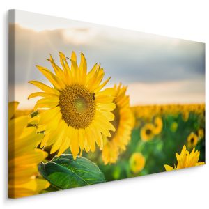 Top 30 meest verkochte schilderijen, populaire kunst 22 Schilderij - Prachtige zonnebloemen veld, premium print