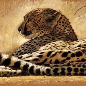 Kunstdruk Renato Casaro - Little rest 99x34cm
